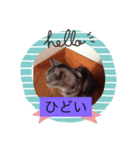 ねこあにゃんちゃん（個別スタンプ：4）