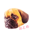 ゆいちゃんのきゅんとなる会話（個別スタンプ：2）