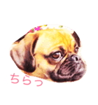 ゆいちゃんのきゅんとなる会話（個別スタンプ：13）