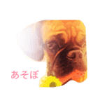 ゆいちゃんのきゅんとなる会話（個別スタンプ：28）