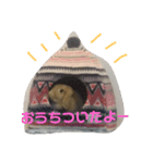 むねたんぷ2（個別スタンプ：1）