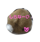 むねたんぷ2（個別スタンプ：4）