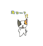ねこのチルック（個別スタンプ：13）