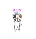 ねこのチルック（個別スタンプ：15）