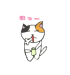 ねこのチルック（個別スタンプ：19）