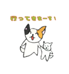 ねこのチルック（個別スタンプ：20）