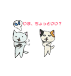 ねこのチルック（個別スタンプ：23）