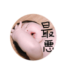 翔桜空（個別スタンプ：8）