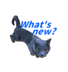 灰猫（英語バージョン）（個別スタンプ：1）