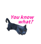 灰猫（英語バージョン）（個別スタンプ：33）