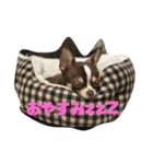 たび1（個別スタンプ：4）