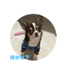 たび1（個別スタンプ：7）