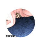 たび1（個別スタンプ：8）