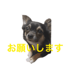 シンバスタンプ（個別スタンプ：9）