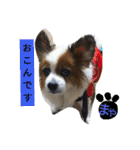 まやのスタンプ2（個別スタンプ：7）