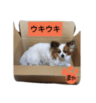 まやのスタンプ2（個別スタンプ：12）