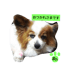 まやのスタンプ2（個別スタンプ：13）