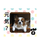 まやのスタンプ2（個別スタンプ：32）