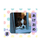 まやのスタンプ2（個別スタンプ：39）