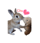 うさぎの可愛いももちゃん（個別スタンプ：5）