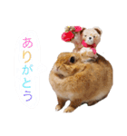 うさぎの可愛いももちゃん（個別スタンプ：6）