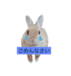 うさぎの可愛いももちゃん（個別スタンプ：7）