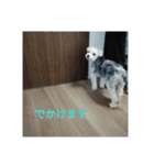 マルキーと日常（個別スタンプ：8）