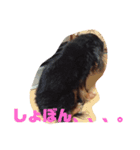 ななけんスタンプ（個別スタンプ：2）