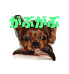 ななけんスタンプ（個別スタンプ：4）