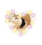 可愛い動物ラブ（個別スタンプ：7）