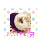 可愛い動物ラブ（個別スタンプ：8）