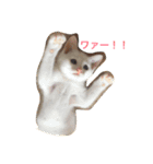 マシューくん第2弾（個別スタンプ：2）