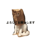 マシューくん第2弾（個別スタンプ：13）