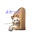 マシューくん第2弾（個別スタンプ：15）