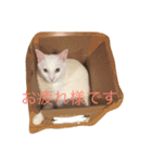 マシューくん第2弾（個別スタンプ：16）
