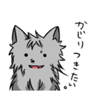 うちのオオカミさん（個別スタンプ：12）