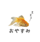 きんたの気持ち（個別スタンプ：4）