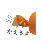 きんたの気持ち（個別スタンプ：5）