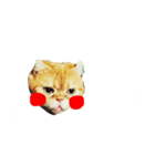 ねこのおこめのスタンプ（個別スタンプ：7）