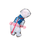 ひなライフ（個別スタンプ：1）