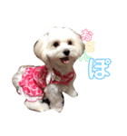 ひなライフ（個別スタンプ：4）