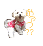 ひなライフ（個別スタンプ：12）