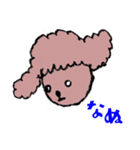 わたしのワンコ（個別スタンプ：7）