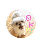 そら こと ゆめ（個別スタンプ：1）