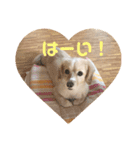 そら こと ゆめ（個別スタンプ：2）