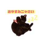 森ファミリー2018（個別スタンプ：1）