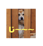 森ファミリー2018（個別スタンプ：2）