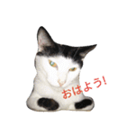 てばさん家（個別スタンプ：1）