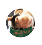 てばさん家（個別スタンプ：3）
