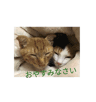 てばさん家（個別スタンプ：4）
